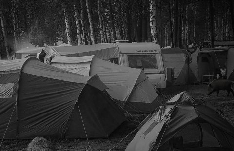 Fotopułapka - Kamera leśna - Orllo Huntercam 6 SIM z zasilaniem solarnym