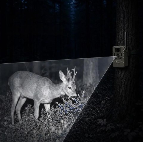 Fotopułapka - Kamera leśna - Orllo Huntercam 6 SIM z zasilaniem solarnym