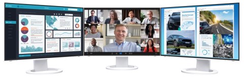 EIZO FlexScan EV2495-WT - monitor 24", 1920 x 1200, WUXGA, 16:10, z daisy chain, karta sieciowa (biały)