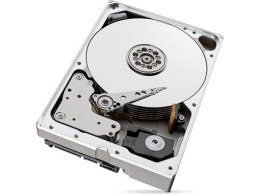 Seagate Dysk SkyHawkAI 10TB 3,5 256MB ST10000VE001